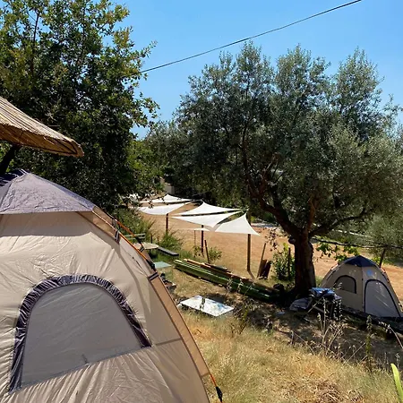 Kruje Camping Krujë