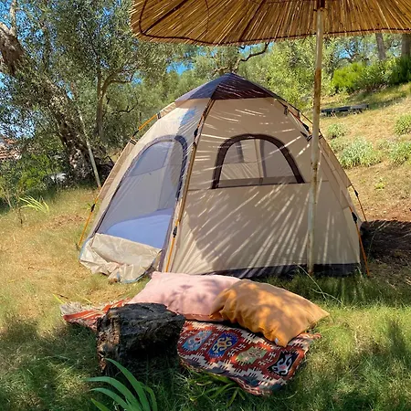 Parque de Campismo Kruje Camping *