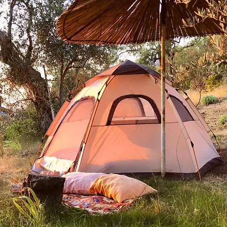 Kruje Camping * Krujë